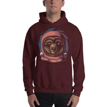 Load image into Gallery viewer, Astro Bear Hoodie
