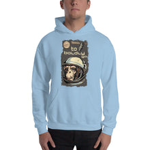 Load image into Gallery viewer, To Boldly Go Hoodie - Tees Arena | TeesArena.com