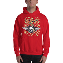 Load image into Gallery viewer, USAF Family Hoodie - Tees Arena | TeesArena.com